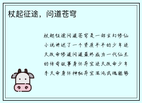 杖起征途，问道苍穹